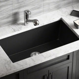 Black Kitchen Sinks You Ll Love In 2020 Wayfair