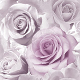 Purple Floral Wallpaper You Ll Love Wayfair Co Uk