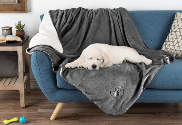 Dog Blankets They'll Love