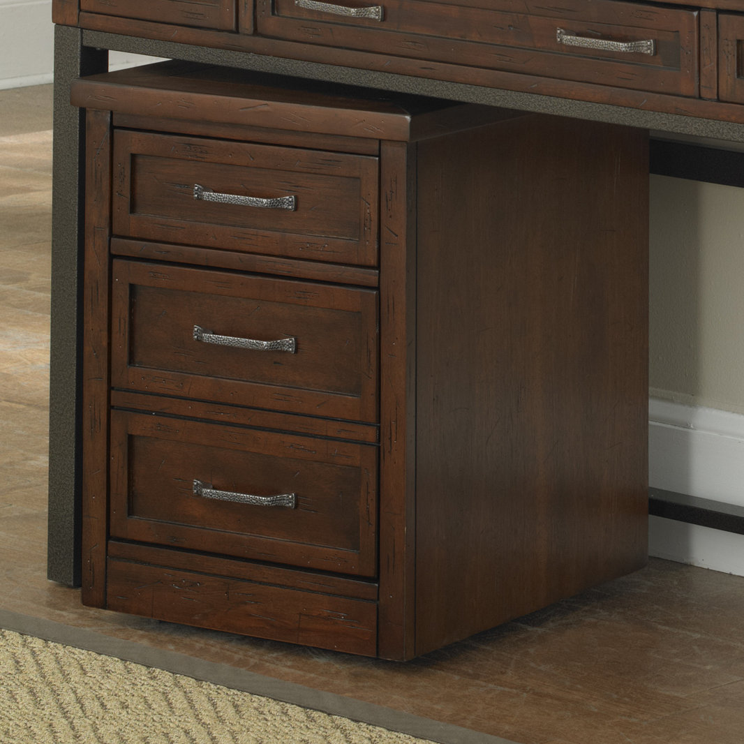 Three Posts Rothbury 2 Drawer Mobile Vertical Filing Cabinet