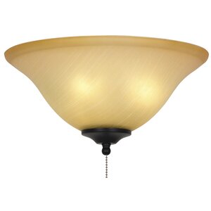 Glass Bowl Ceiling Fan Light Kit