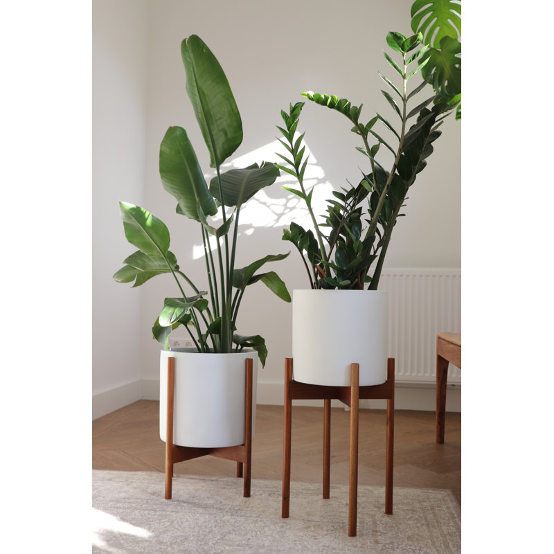 Oliver 10 Inch Plant Stand With White Planter