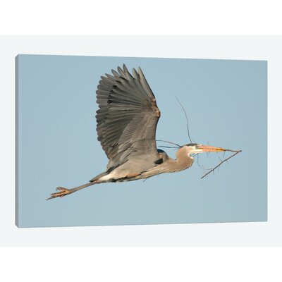 'Great Blue Heron Flying with Nest Material Kensington Metropark Milford Michigan' Photographic Print on Canvas East Urban Home Size: 12