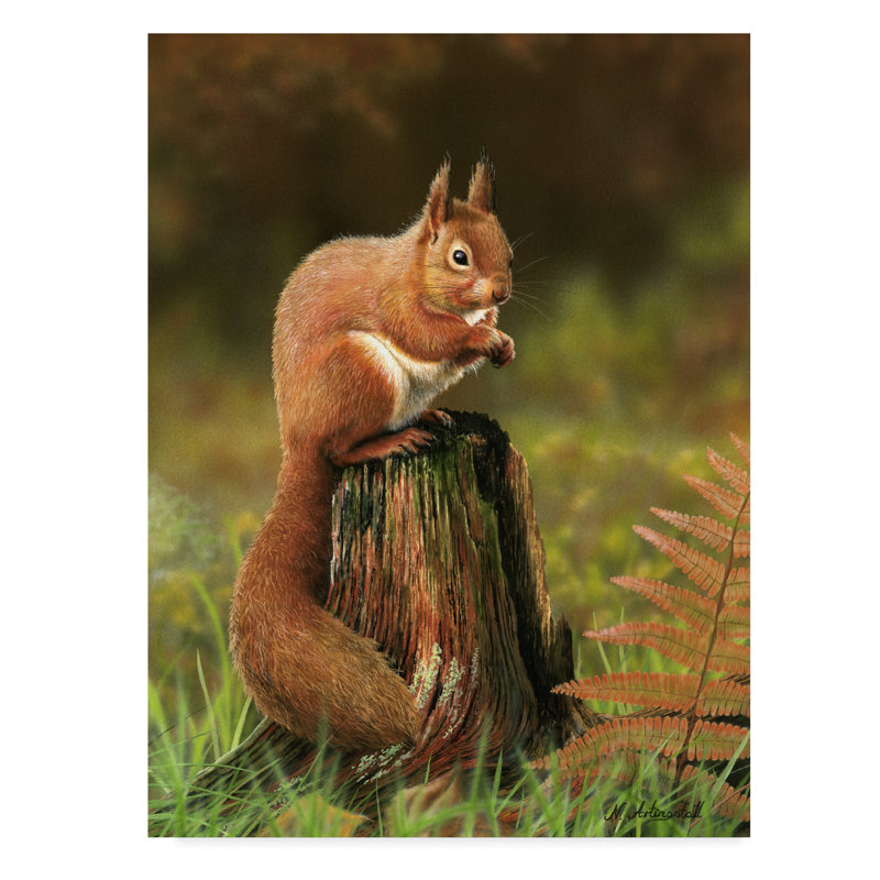 Charlton Home Red Squirrel On Stump Acrylic Painting Print On