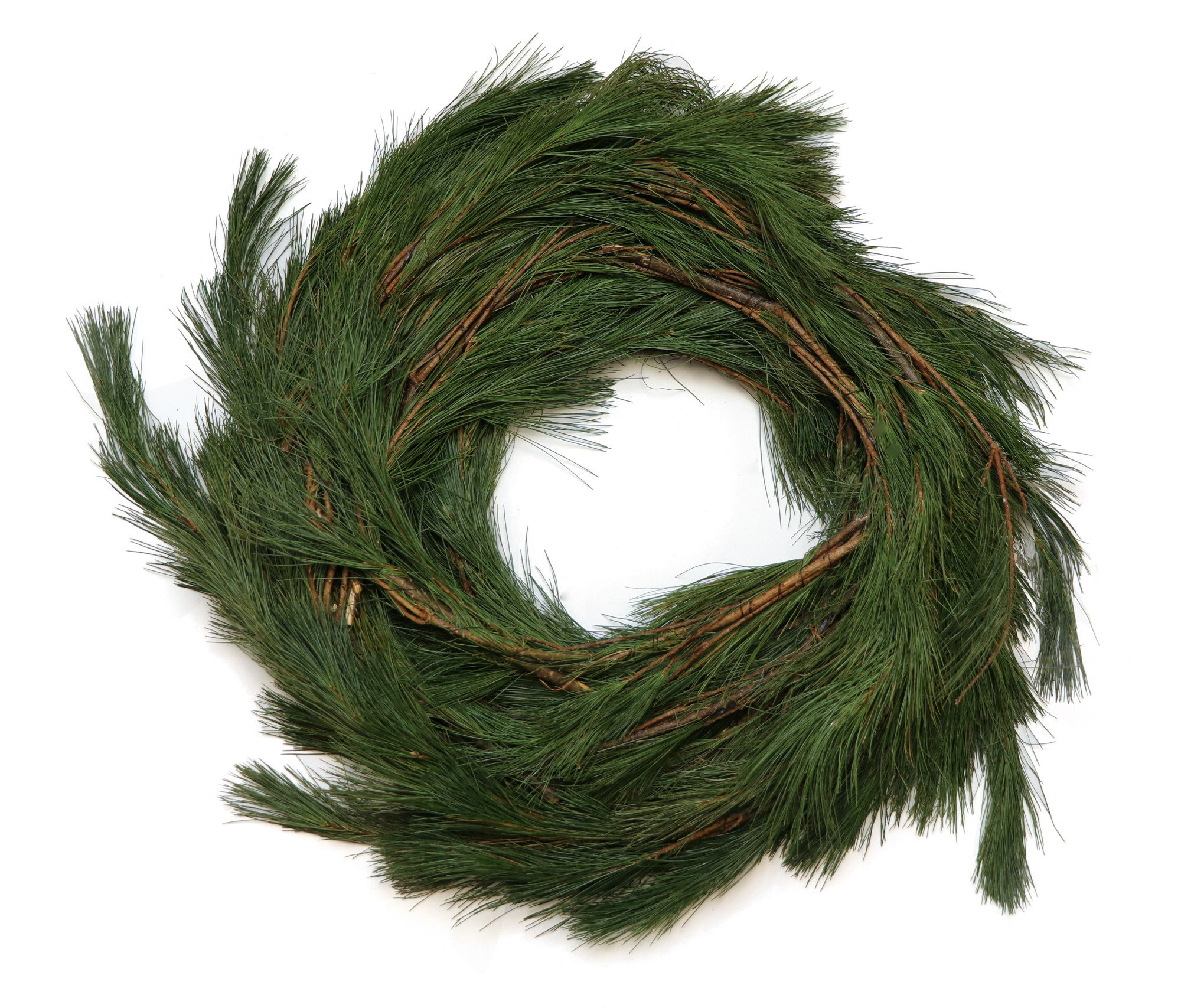 Primrue 25'' in. Fresh Pine Garland Wayfair