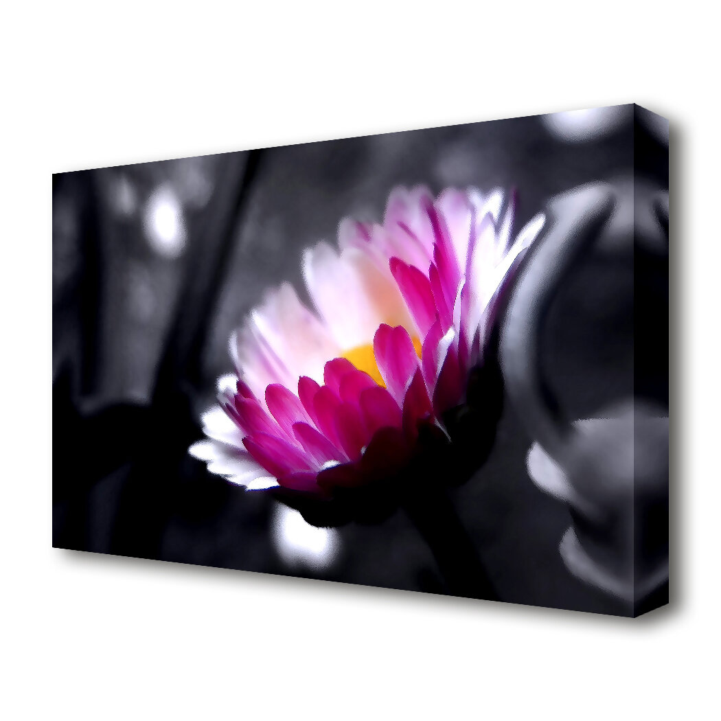 East Urban Home Pink Flower On Black And White Background Flowers Canvas Print Wall Art Wayfair Co Uk