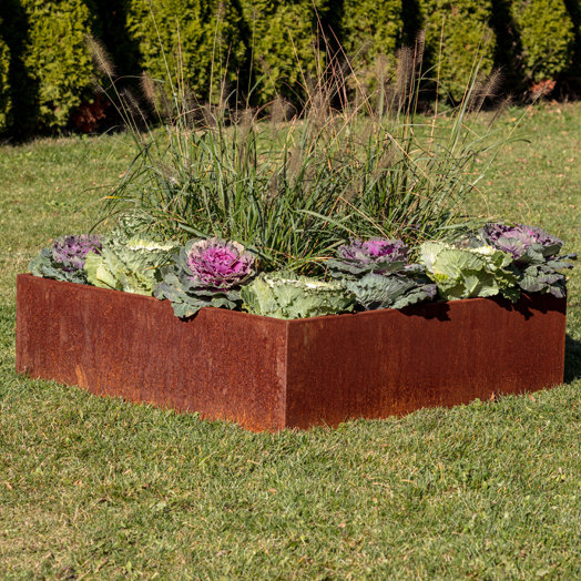 Veradek Metallic Series 4 Ft X 4 Ft Corten Steel Raised Garden Reviews Wayfair