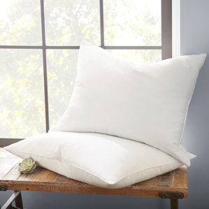 Becky Cameron Down and Feathers Pillow (Set of 2) by IEnjoy Home