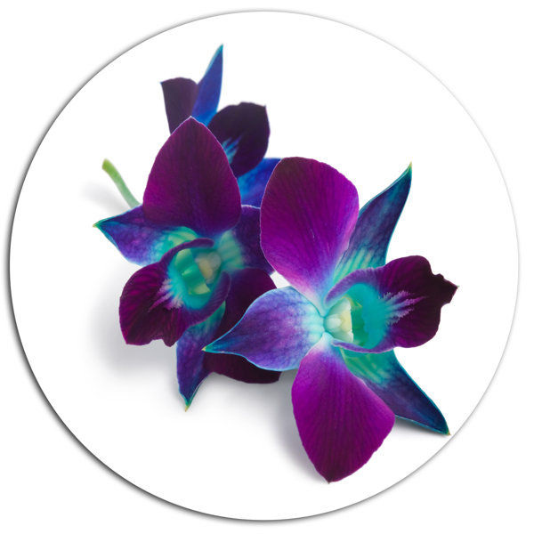 Designart Deep Purple Orchid Flowers On White Oil Painting Print