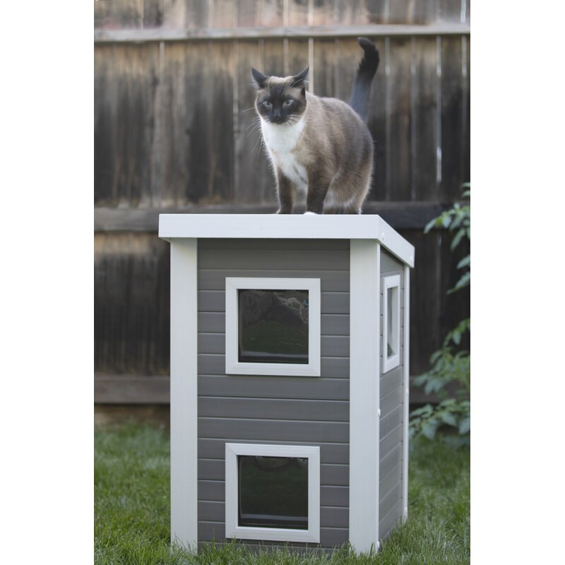 cat house with door