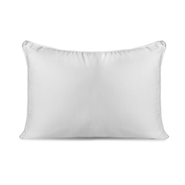 chaps brand bed pillows