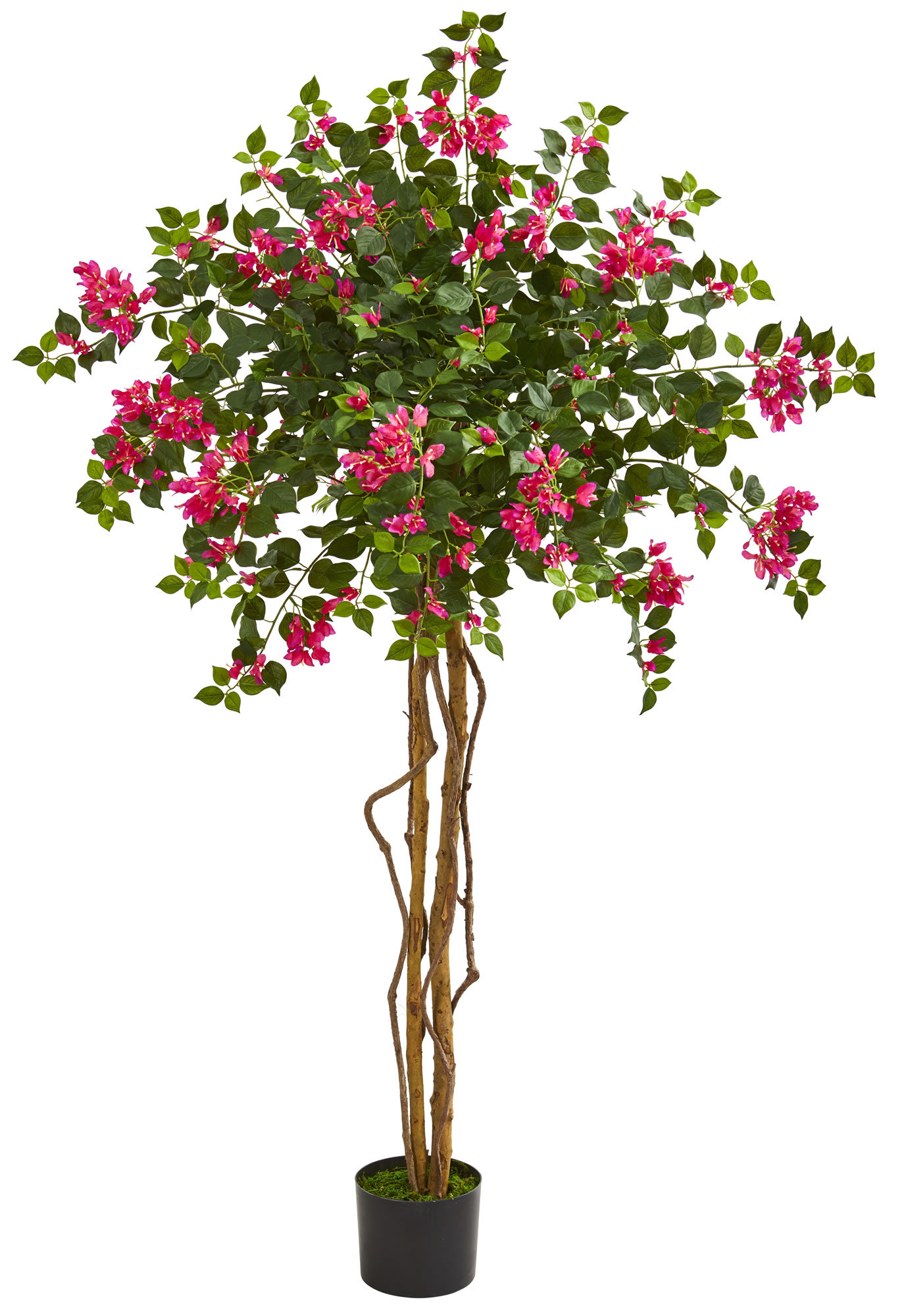 Charlton Home® 60'' Artificial Foliage Tree in Planter & Reviews Wayfair