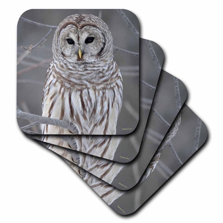 New England Set Of 4 Ceramic Tile Coasters 3dRose cst_251077_3 Beacon Lighthouse USA Owls Head Maine