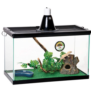 tortoise starter kit amazon