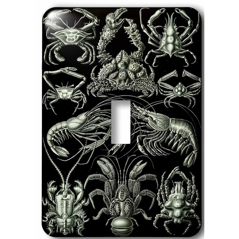Baby Bumblebee Design Decorative Single Toggle Light Switch Cover Wall Plate