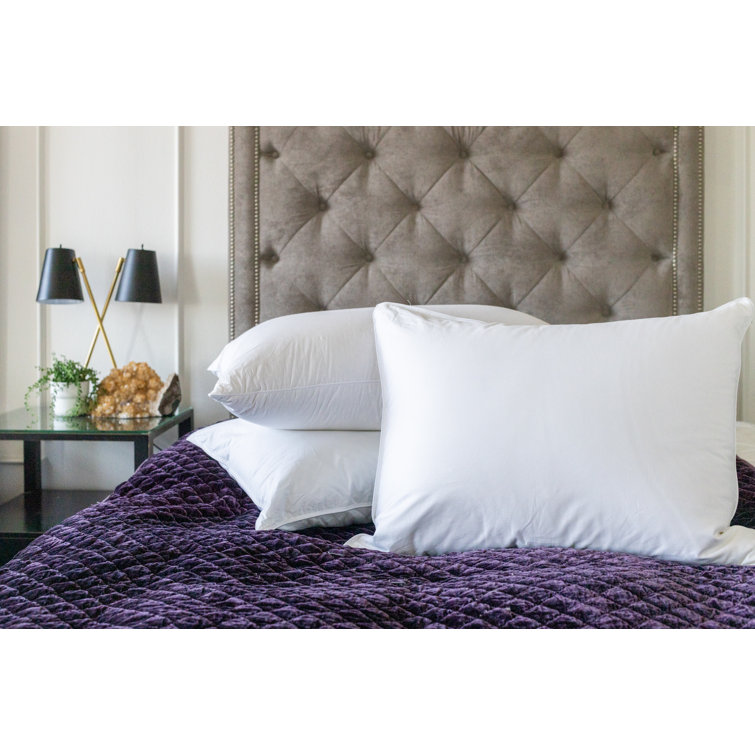 extra soft down alternative pillow