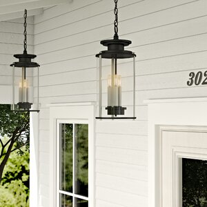 Evgenia 3-Light Outdoor Hanging Lantern