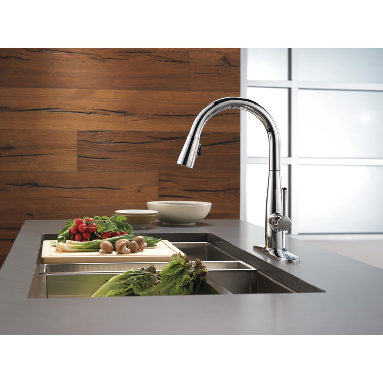 Essa Pull Down Single Handle Kitchen Faucet with MagnaTite® and Diamond  Seal Technology