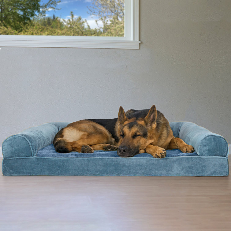 aspen pet sofa bed