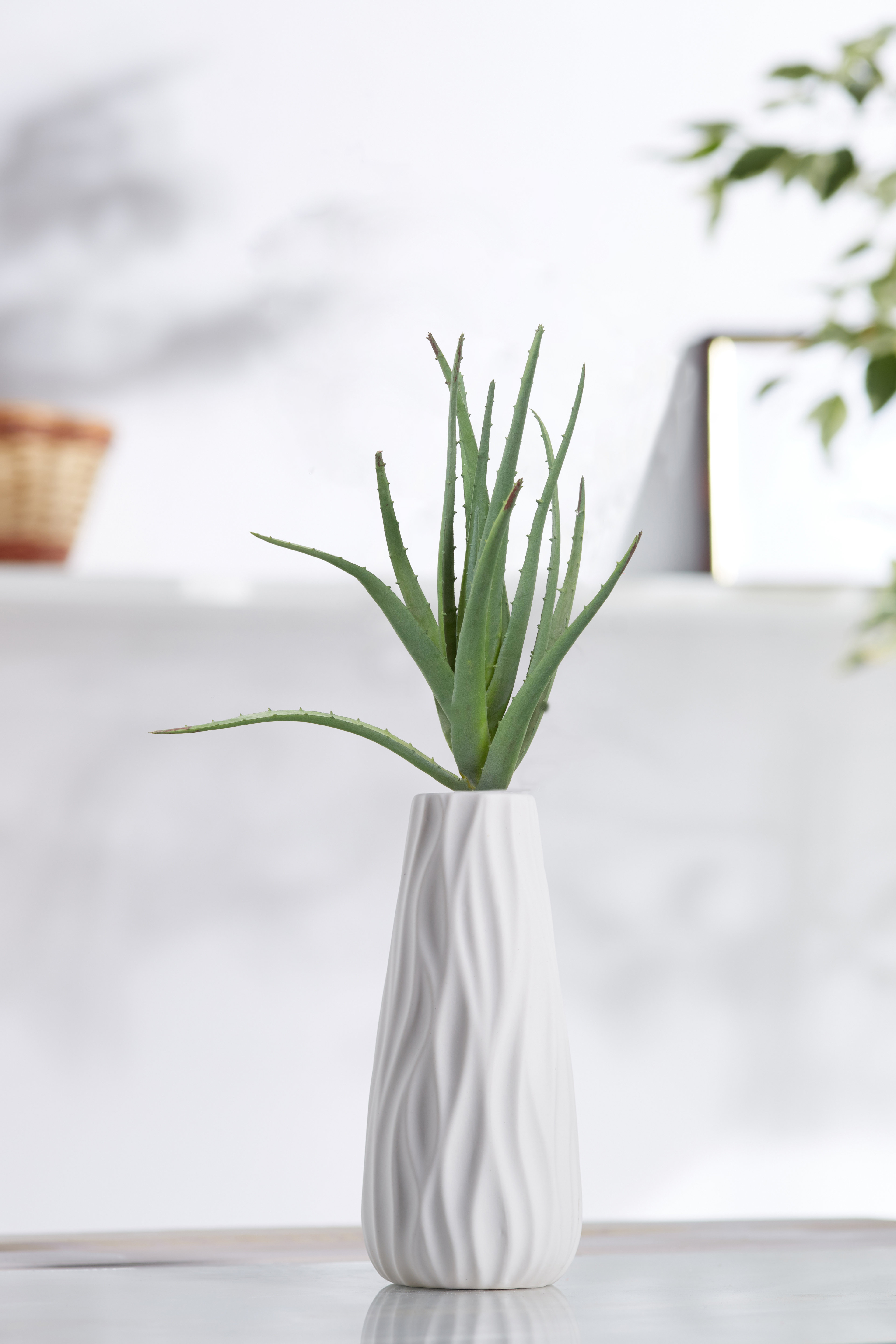 Primrue 12'' Faux Aloe Plant Wayfair