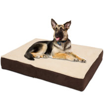 Extra Large Dog Beds You Ll Love In 2021 Wayfair