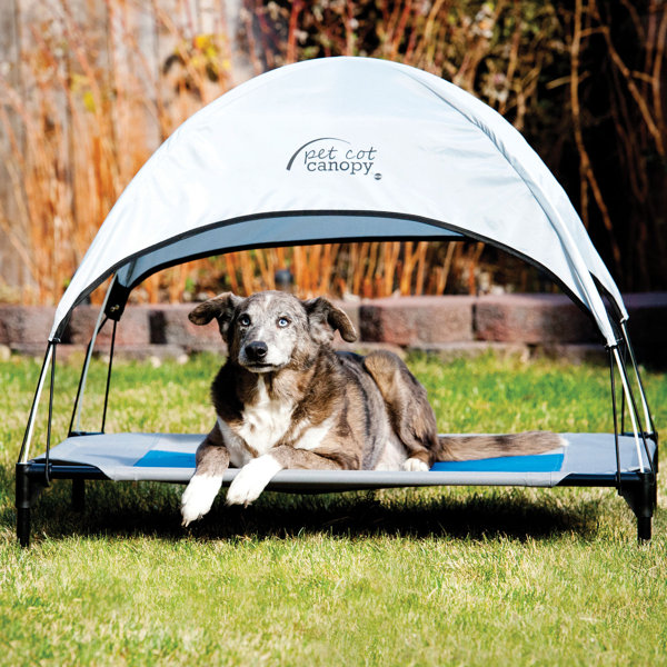 pet cot and canopy