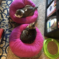 jackson galaxy dumpling cat bed