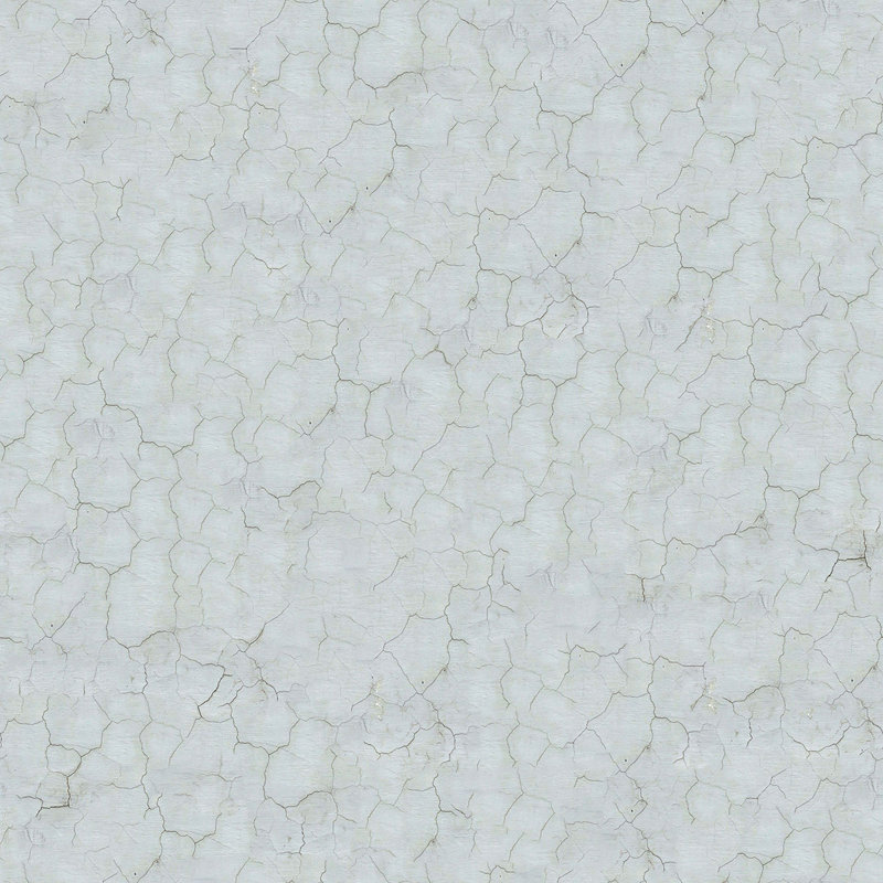 Isabelle Max Vickery Marble Removable Peel And Stick Wallpaper Panel Wayfair