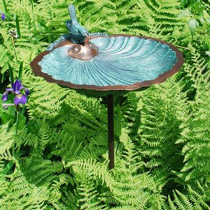 Scallop Scallop Shell Birdbath