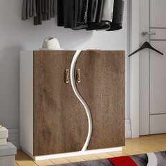 Enclosed Shoe Cabinet Wayfair