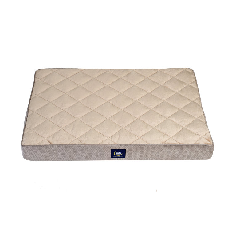 serta ortho foam quilted pillowtop pet bed