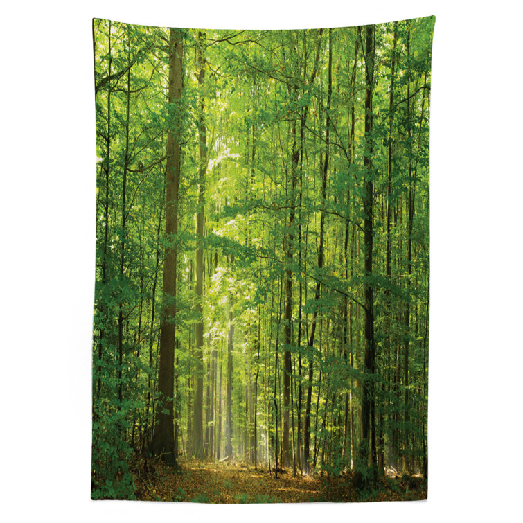 52 X 70 Autumn Season Forest in Sun Rays Near The River in Morning Idyllic View Print Ambesonne Tree Tablecloth Dining Room Kitchen Rectangular Table Cover Yellow Brown White 52 X 70 Autumn Season Forest in Sun Rays Near The River in Morning Idyllic View Print Ambesonne Tree Tablecloth Dining Room Kitchen Rectangular Table Cover Yellow Brown White