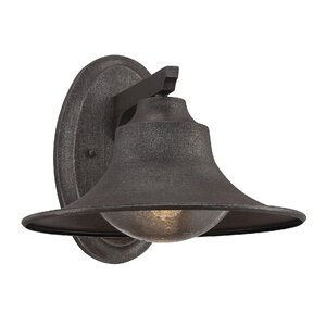 Teller 1-Light Outdoor Sconce