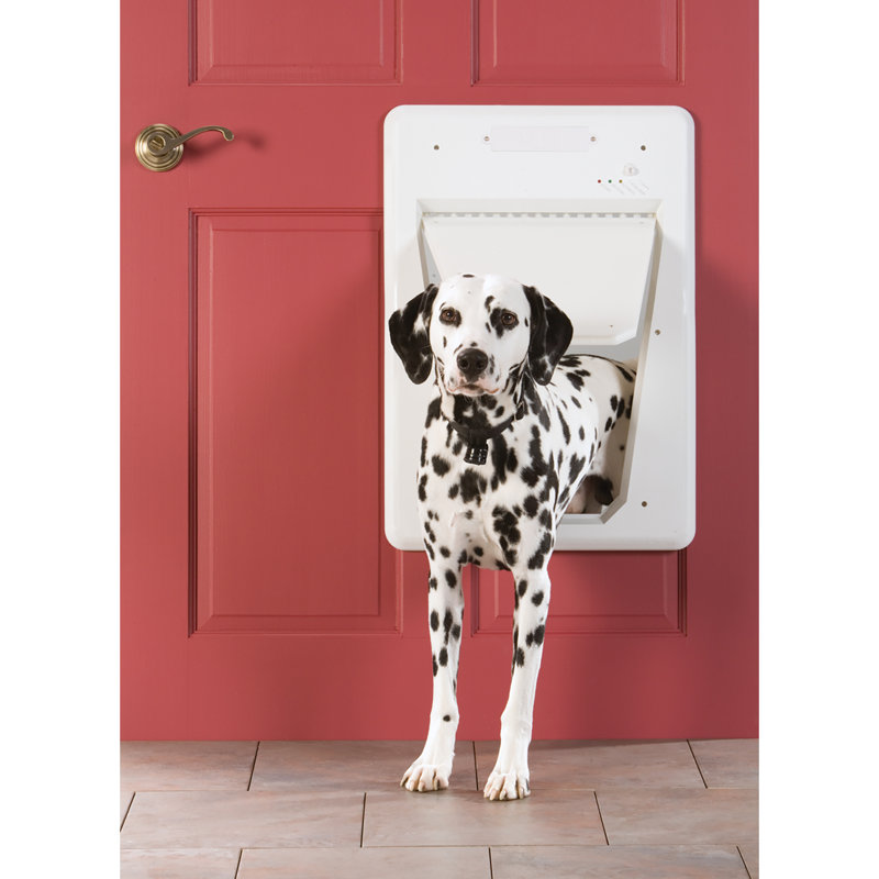 Petsafe Smart Pet Door Reviews Wayfair