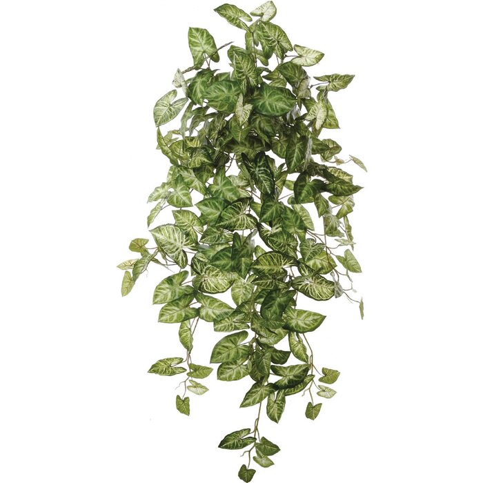 Charlton Home® Faux Ivy Plant & Reviews | Wayfair