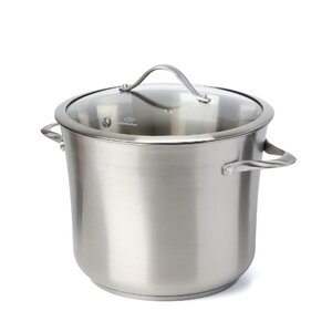 Contemporary Stainless Steel Stock Pot with Lid