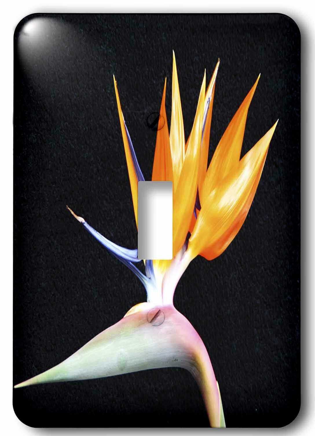 BIRD OF PARADISE FLOWERS TROPICAL HOME DECOR LIGHT SWITCH PLATE OR OUTLET 