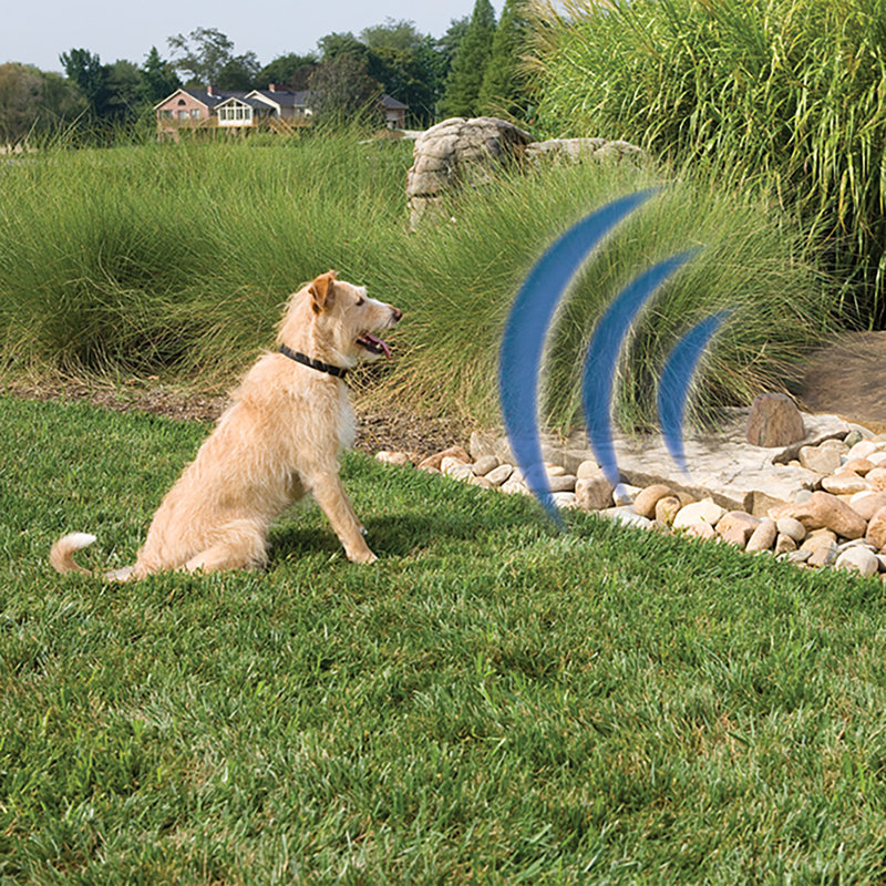 petsafe pawz away extra outdoor pet barrier