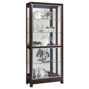 Beckman Lighted Curio Cabinet by Darby Home Co