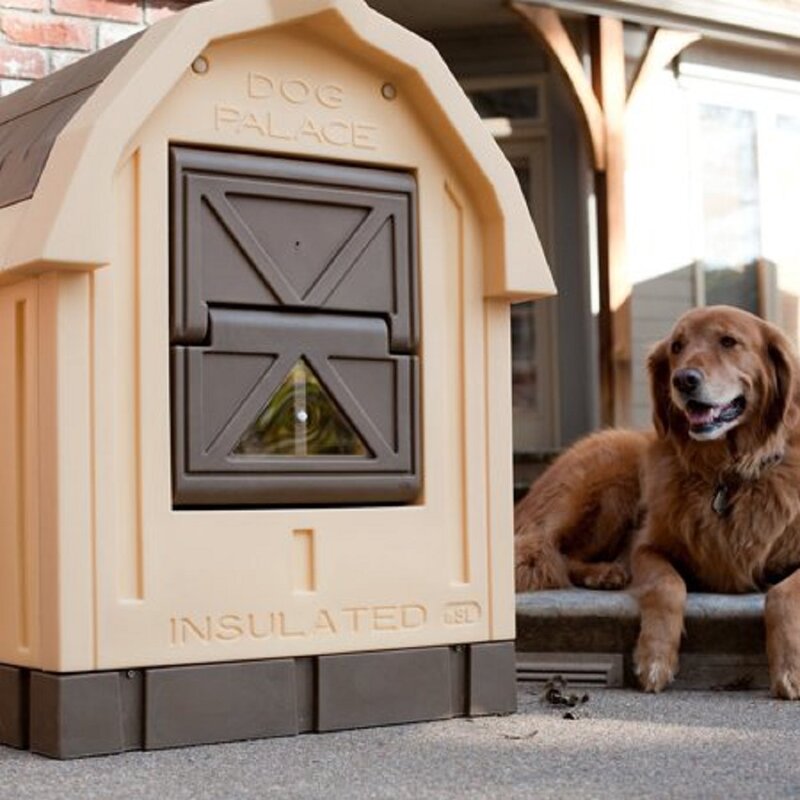 dog palace dog house