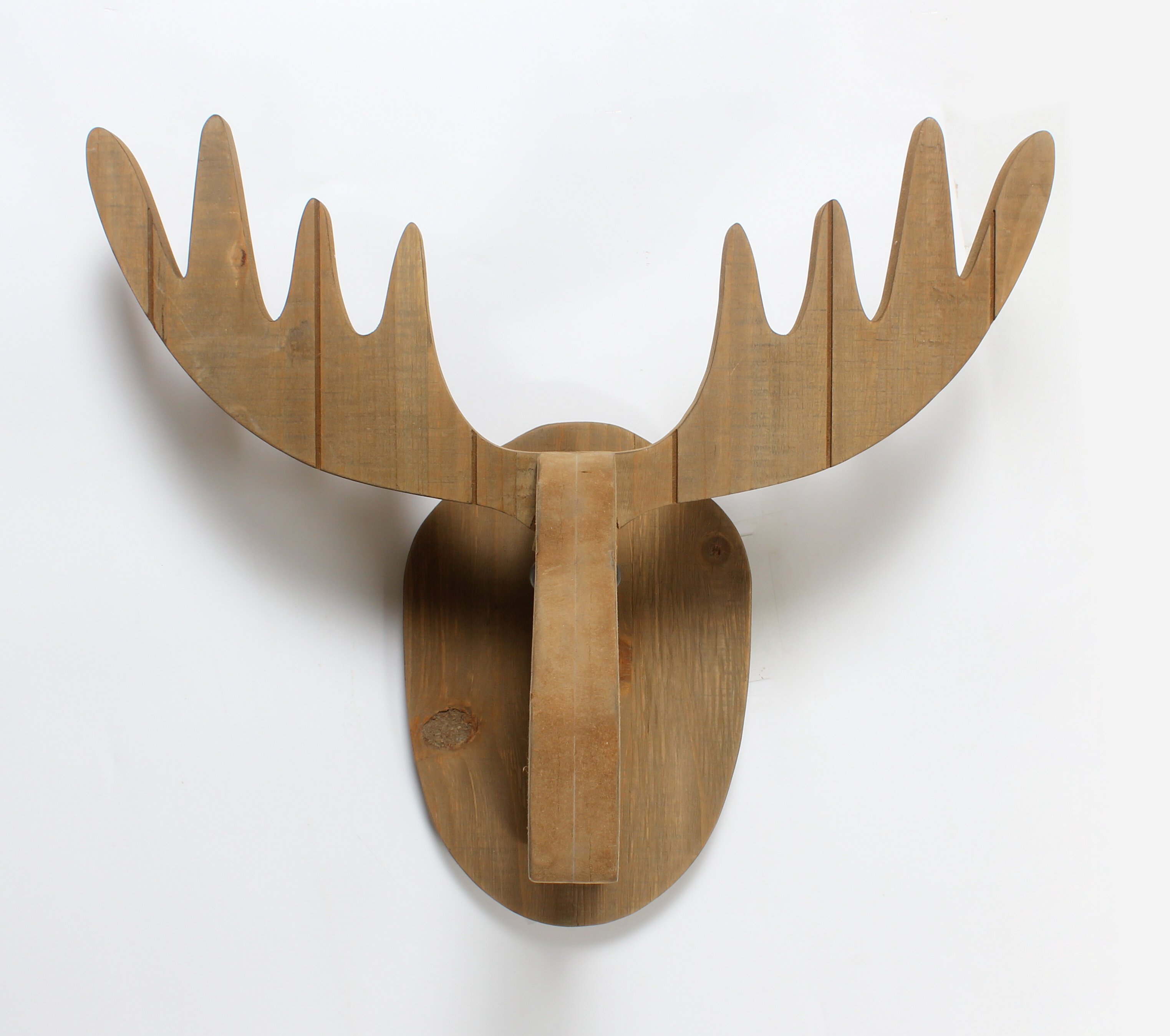 real stuffed moose head wall mount