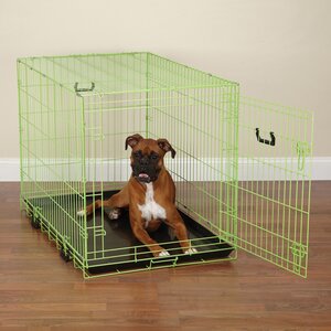 Colorful Wire Pet Crate