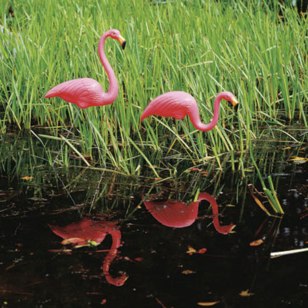 Union Products Don Featherstone Flamingos Statue Reviews Wayfair Ca