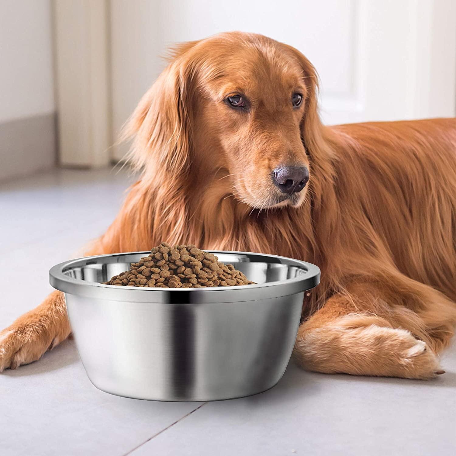 how high should a dogs food bowl be