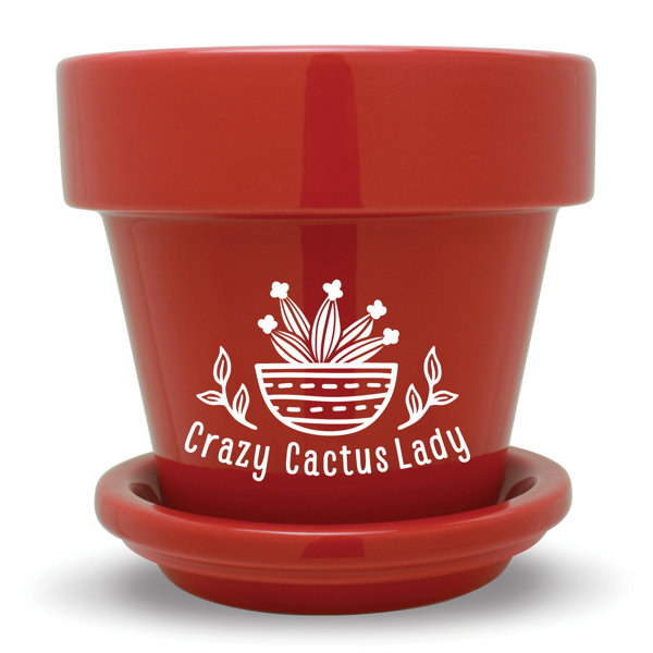 Flower Pot With Saucer Wayfair