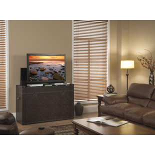Ellis Trunk TV Stand for TVs up to 50 by Touchstone