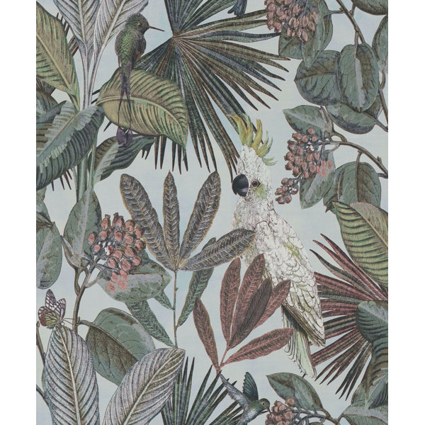 hummingbird wallpaper