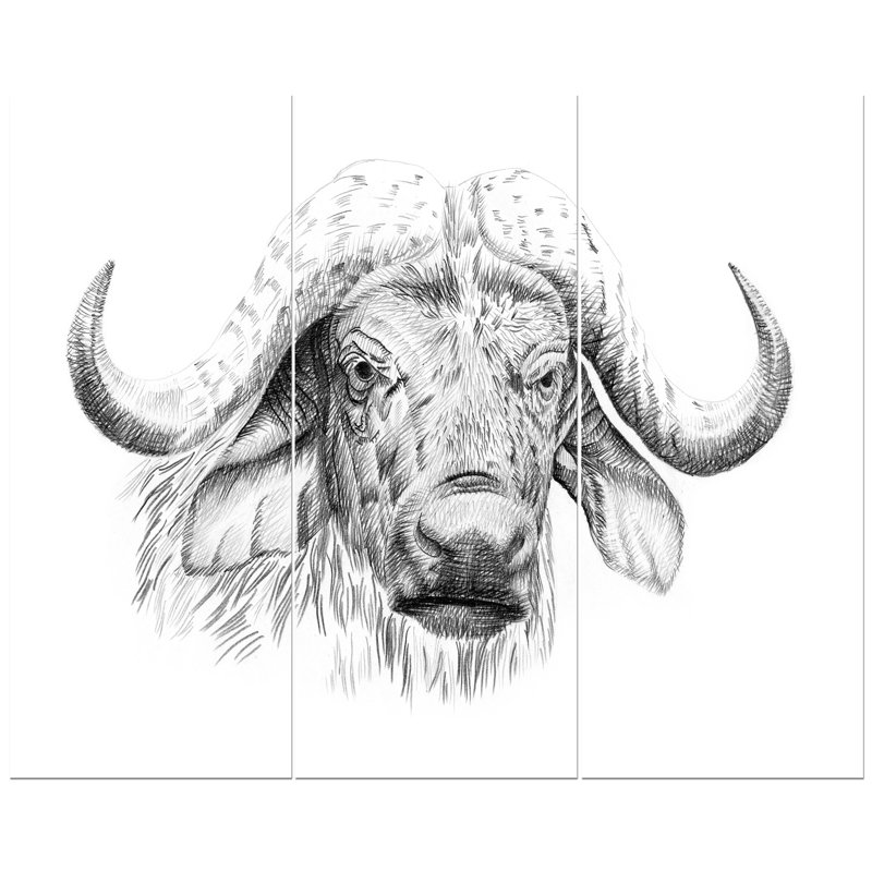 East Urban Home Pencil Buffalo Sketch In Black And White Oil