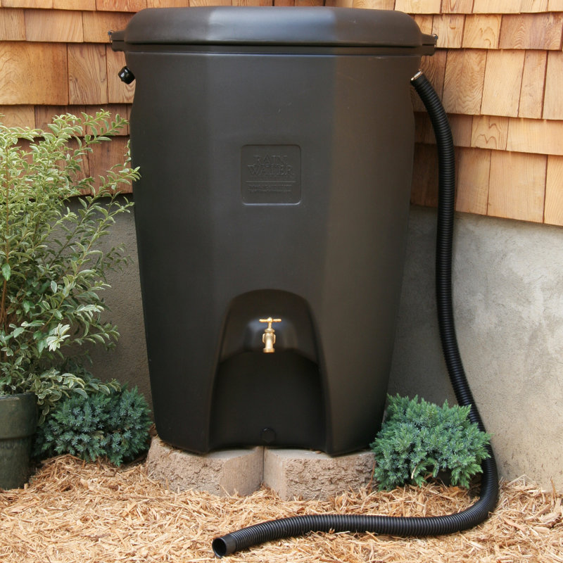 Rainwatersolutions Moby 65 Gallon Rain Barrel Reviews Wayfair