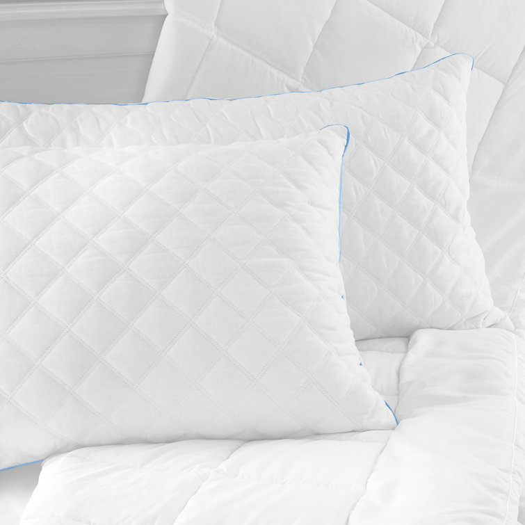 biopedic memory foam pillow